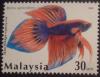 Colnect-2023-521-Siamese-Fighting-Fish-Betta-splendens.jpg