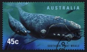 Colnect-1473-323-Southern-Right-Whale-Eubalaena-australis.jpg