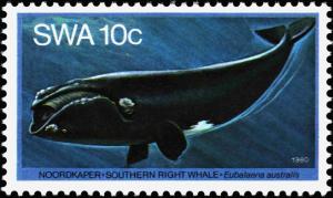 Colnect-5207-331-Southern-Right-Whale-Eubalaena-australis.jpg