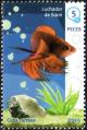 Colnect-2959-614-Siamese-Fghting-Fish-Betta-splendens.jpg