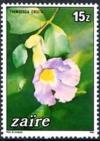 Colnect-1119-350-Thunbergia-erecta.jpg