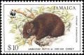 Colnect-1700-691-Jamaican-Hutia-Geocapromys-brownii.jpg