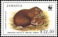 Colnect-1700-692-Jamaican-Hutia-Geocapromys-brownii.jpg