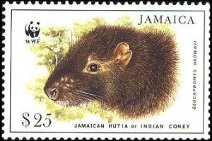 Colnect-1700-693-Jamaican-Hutia-Geocapromys-brownii.jpg