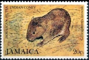 Colnect-2675-101-Jamaican-Hutia-Geocapromys-brownii.jpg