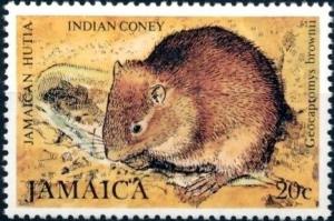 Colnect-2675-102-Jamaican-Hutia-Geocapromys-brownii.jpg