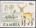 Colnect-2565-750-Kafue-Lechwe-Kobus-leche-kafuensis.jpg