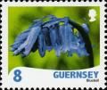 Colnect-4151-885-Bluebell---Hyacinthoides-non-scripta-.jpg