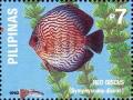 Colnect-5376-426-Blue-Discus-Symphysodon-aequifasciata-ssp-discus.jpg