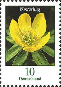 Colnect-4295-595-Eranthis-hyemalis---Winter-Aconite.jpg