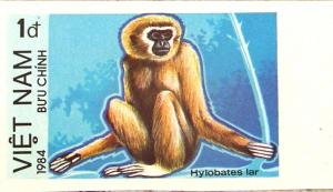 Colnect-1472-416-Lar-Gibbon-Hylobates-lar---Imperforate.jpg