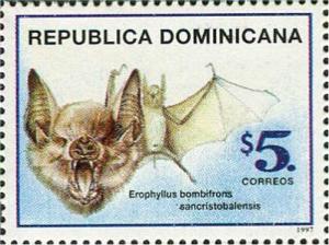 Colnect-3154-140-Brown-Flower-Bat-Erophylla-bombifrons-ssp-sancristobalensi.jpg