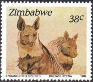 Colnect-3265-669-Brown-Hyena-Hyaena-brunnea-.jpg