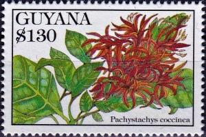 Colnect-4606-237-Pachystachys-coccinea.jpg