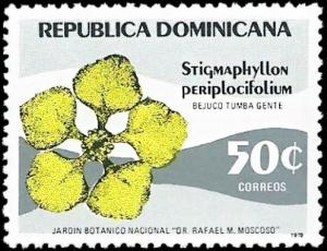 Colnect-5283-212-Stigmaphyllon-periplocifolium.jpg