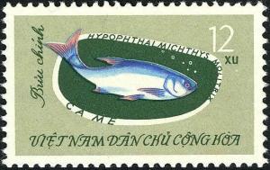 Colnect-5494-266-Silver-Carp-Hypophthalmichthys-molitrix.jpg