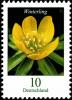 Colnect-5205-848-Eranthis-hyemalis---Winter-Aconite.jpg