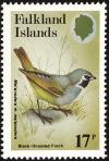 Colnect-1476-107-Black-Throated-Finch-Melanodera-melanodera-melanodera-.jpg