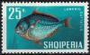 Colnect-3603-877-Opah-Lampris-guttatus.jpg