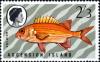 Colnect-4519-593-Squirrelfish-Holocentrus-adscensionis.jpg