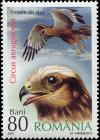 Colnect-5184-078-Western-Marsh-harrier-Circus-aeruginosus.jpg