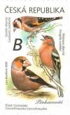 Colnect-6570-569-Goldfinch-Chaffinch-and-Hawfinch.jpg