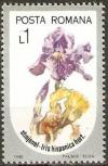 Colnect-744-543-Spanish-Iris-Iris-hispanica.jpg