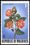 Colnect-838-382-Spanish-Flag-Lantana-camara.jpg