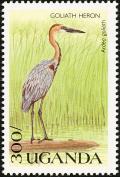 Colnect-1715-771-Goliath-Heron-Ardea-goliath.jpg