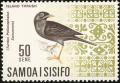 Colnect-1766-826-Samoan-Island-Thrush%C2%A0Turdus-poliocephalus-samoensis-.jpg