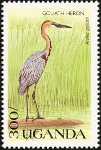 Colnect-1715-771-Goliath-Heron-Ardea-goliath.jpg