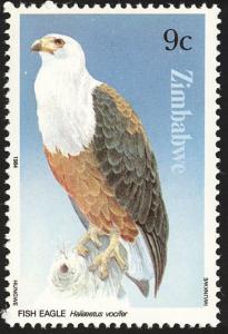 Colnect-1476-700-African-Fish-eagle-Haliaeetus-vocifer.jpg