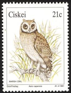 Colnect-1456-708-Marsh-Owl-Asio-capensis-.jpg