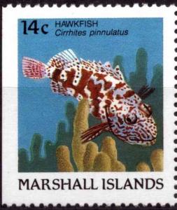 Colnect-4736-559-Hawkfish-Cirrhites-pinnulatus.jpg