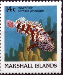 Colnect-4736-561-Hawkfish-Cirrhites-pinnulatus.jpg