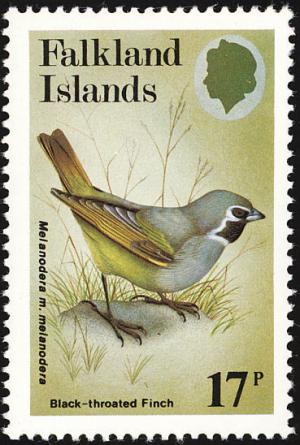 Colnect-1476-107-Black-Throated-Finch-Melanodera-melanodera-melanodera-.jpg