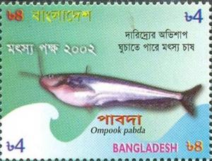 Colnect-1701-930-Pabdah-Catfish-Ompok-pabda.jpg