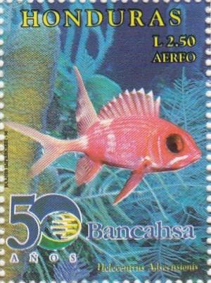 Colnect-3171-350-Squirrelfish-Holocentrus-adscensionis.jpg