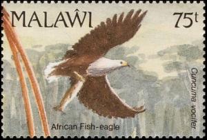 Colnect-3388-908-African-Fish-Eagle-Haliae%C3%ABtus-vocifer.jpg