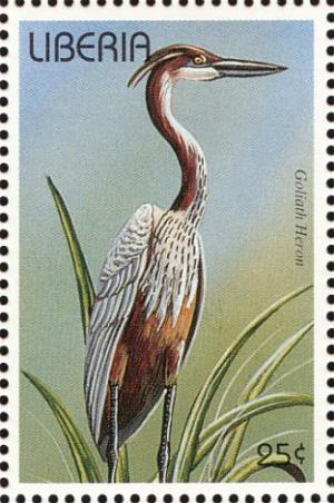 Colnect-3811-657-Goliath-Heron-Ardea-goliath.jpg