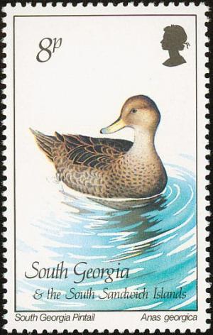 Colnect-4202-742-Birds-1987---South-Georgia-Pintail-Anas-georgica-.jpg