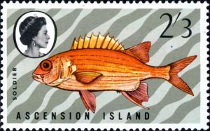 Colnect-4519-593-Squirrelfish-Holocentrus-adscensionis.jpg