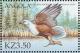 Colnect-1240-343-African-Fish-Eagle-Haliae%C3%ABtus-vocifer.jpg