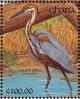 Colnect-1459-820-Goliath-Heron-Ardea-goliath.jpg