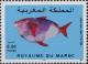 Colnect-2720-787-Opah-Lampris-guttatus.jpg