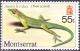 Colnect-3137-987-Plymouth-Anole-Anolis-lividus.jpg