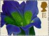 Colnect-123-140-Gentiana-acaulis-Ehret.jpg