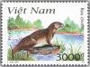 Colnect-1656-039-Eurasian-Otter-Lutra-lutra.jpg