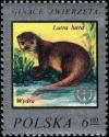 Colnect-2236-057-Eurasian-Otter-Lutra-lutra.jpg