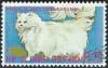 Colnect-2536-460-White-Persian-Felis-silvestris-catus.jpg